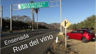 Ruta del vino 2019