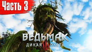 Ведьмак 3: Дикая Охота Прохождение Часть 3 "Лихо у колодца"