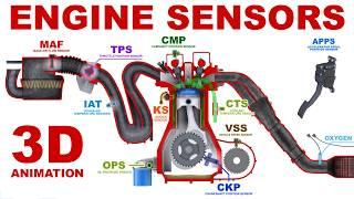 Engine Sensors - Basics. 3D Animation