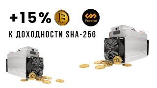 Как увеличить доход на ASIC SHA-256