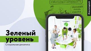 Спиральная динамика от NEUROMAP. Зеленый уровень