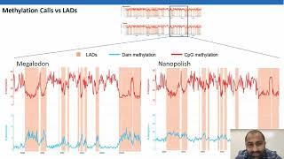 Measurement of DNA Methylation and Nuclear Organization with Nanopore Sequencing