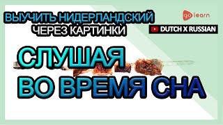 Выучить Нидерландский через картинки |Нидерландский словарь Слушая во время сна | Golearn