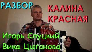 Калина красная. Вступление. Как играть. Разбор на гармони.