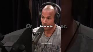 David Goggins Insight