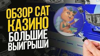 Cat casino промокод  Невероятные бонусы и акции  Сasino Сat  Быстрый вход Cat casino