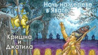 Как Кришна провёл ночь на дереве в Явате. Кришна и Джатила Ведическая история о Кришне и иллюстрация