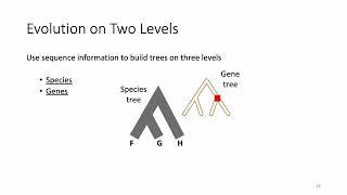 Gene duplication, exon duplication, and elaboration of splicing... - Maureen Stolzer - GLBIO2023