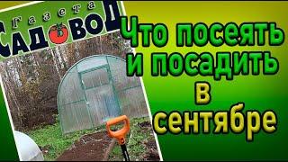 ЧТО ПОСЕЯТЬ И ПОСАДИТЬ В СЕНТЯБРЕ?