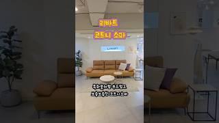 “이 소파 하나로 인테리어 끝. 코트니 소파 미쳤다”
