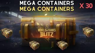 I opened 30+ mega containers in WOT Blitz and got this!