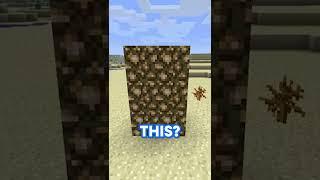 Only Minecraft OGs Will Remember These Blocks... #shorts #minecraftshorts #minecraft