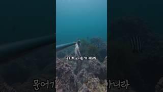 문어 복사 버그