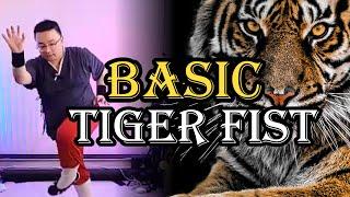 Tiger Fist and Chi Kung Basics for Everyone!