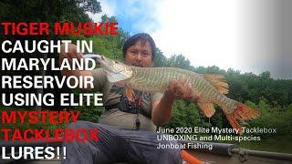 Tiger Muskie Caught in Maryland Reservoir Using Elite Mystery Tacklebox Lures!! (Unboxing & Fishing)