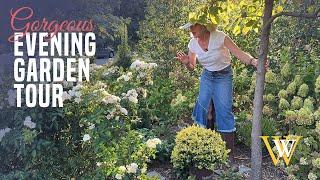 Let's Tour My  Evening Fall Garden