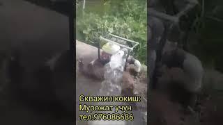 хоразм скважин