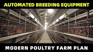 Automated equipment for poultry farming - Modern Chicken Farm