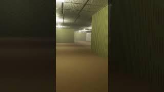 Crazy thing in my Backrooms game