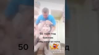 два видео из тиктока.(2)