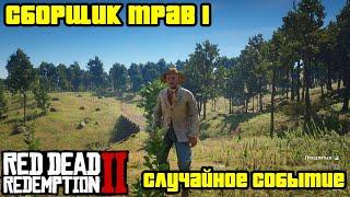 Прохождение RDR 2 на 100% - Случайное событие 19: Сборщик трав 1 (Глава 2 - Нагорье Подкова)