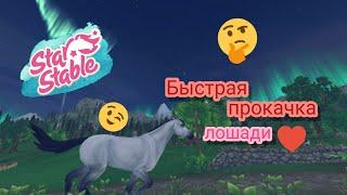 Как быстро прокачать свою лошадь | Star Stable Online