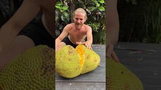 The Biggest Fruit In The World