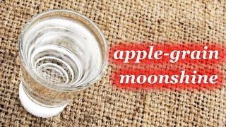 How to make Apple-grain moonshine, homemade recipe