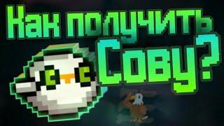 Soul Knight I Как получить Сову ? I Guides