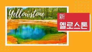 [푸른홈쇼핑] 푸른투어 기획전 1탄 新 옐로스톤 4박 5일 - 푸른투어와 안전하게 떠나는 즐거운 여행