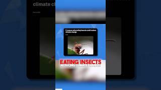 Eating insects - reducing climate change