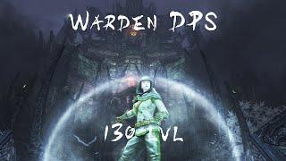 LOTRO U27.1.: Warden Yellow 130 lvl DPS 215K+ (3 min)