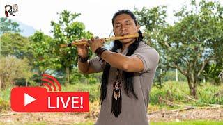 New Live Andean Instrumental Music From Nature