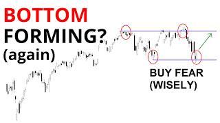 Technical Analysis of Stocks: SPY / QQQ / NVDA / TSLA / AMD / PLTR / INTC / META