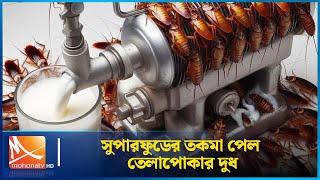 সুপারফুডের তকমা পেল তেলাপোকার দুধ | Mohona TV