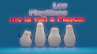 Los pingüinos me la van a mascar Edit(Capcut ver)