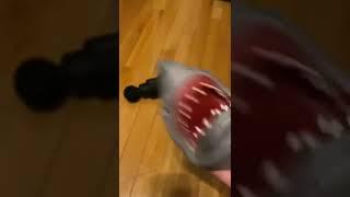 Shark Puppet