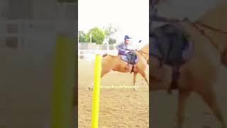 Harlow trying pony club mounted games // #harlow #horse #equestrian #harlowandfamily