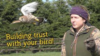 Falconry Basics | Building Trust