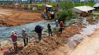 Nicely SuccessFull Jobs!!! Everyone Was Enjoy To Dozer Push Bury And Clearing Mud With Dump Trucks