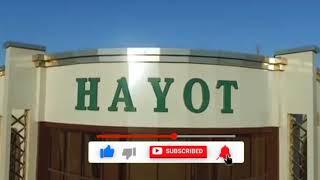 HAYOT TÓYXONA