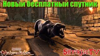 Neverwinter - Новый бесплатный спутник!