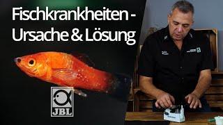 JBL TV #65 Kranke Fische im Aquarium - Vergiftungen, Parasiten, Bakterien & Krankheiten