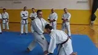 Saifa - Nuno Cardeira (KATA & BUNKAI)