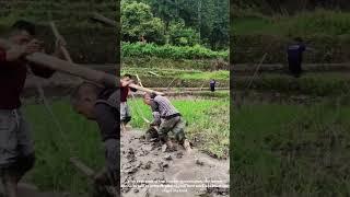 Old Wooden Plow Still Gets the Job Done—Farming the Traditional Way in the Countryside
