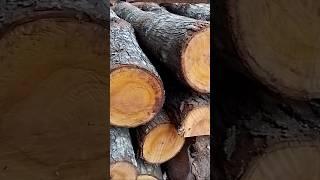 quality wood types #wood #woodworking #woodskills