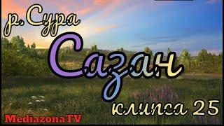 Русская Рыбалка 4 Где Клюет р.Сура Сазан 09.12