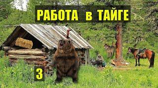 МЕДВЕДЬ и ВОЛК на ТРОПЕ ВСТРЕЧА ДЕТЕКТИВ ИЗБА ЗИМОВЬЕ ОХОТА ДОМ в ЛЕСУ ИСТОРИИ из ЖИЗНИ СЕРИАЛ 3