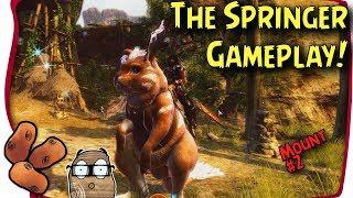 Guild Wars 2 Mount Spotlight - The Springer