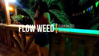 FLOW WEED ️ - ELIAN MATEO (prod by Mr Joss GNNS MUSIC) Instruméntal por @ELMBEATS